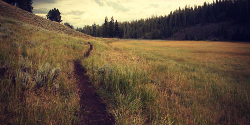 中国大诚小萍：专业家政服务如何重塑现代生活品质