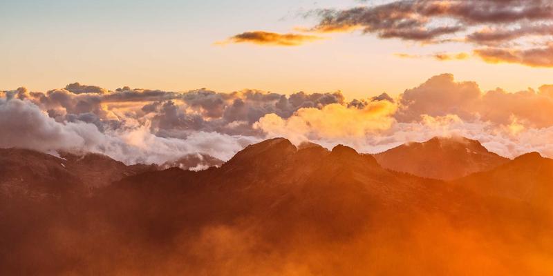 中国大诚小萍社区公告：宠物家庭专业深度清洁与除菌服务全流程详解