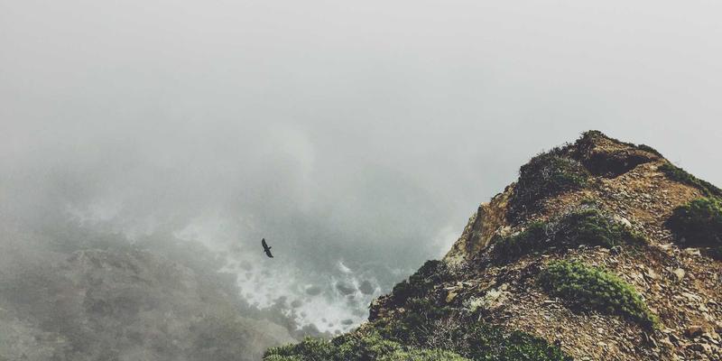 中国大诚小萍详解：家庭收纳整理师服务流程与收费标准，附居家维修与出行收纳指南