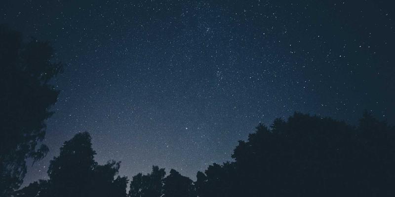 城市家庭阳台微型农场出行指南：从零开始打造可持续生活服务空间