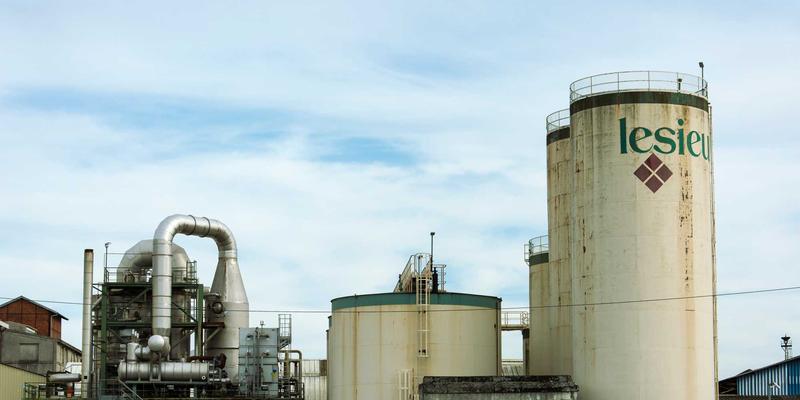 宠物家庭一站式生活服务解决方案：从上门喂养到医疗美容的完整出行指南