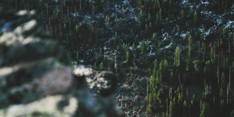 家庭能源管理优化方案：家政服务与社区公告中的实用节能技巧