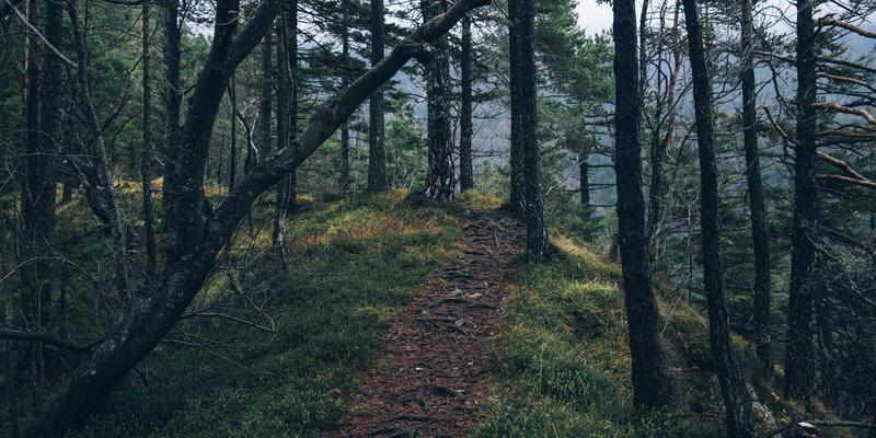 生活服务25：掌握出行指南、维修与便民信息，让城市生活更从容