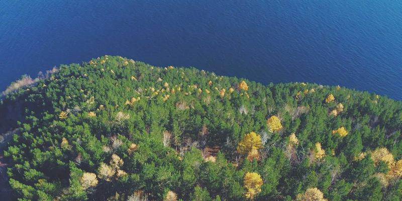 生活服务33：一站式掌握便民信息与出行指南，开启高效智慧生活