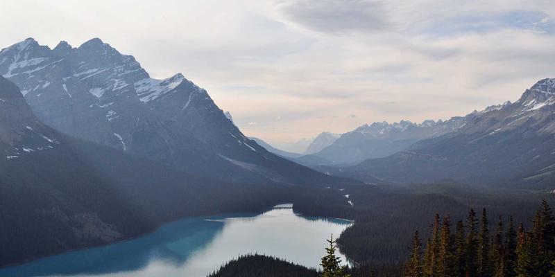 生活服务47：一站式掌握便民信息、出行指南与家政服务，让生活更高效