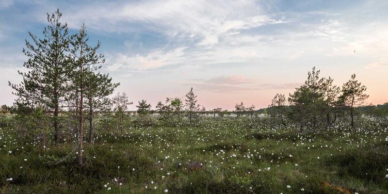 生活服务62 | 中国大诚小萍社区出行指南与公告全解析