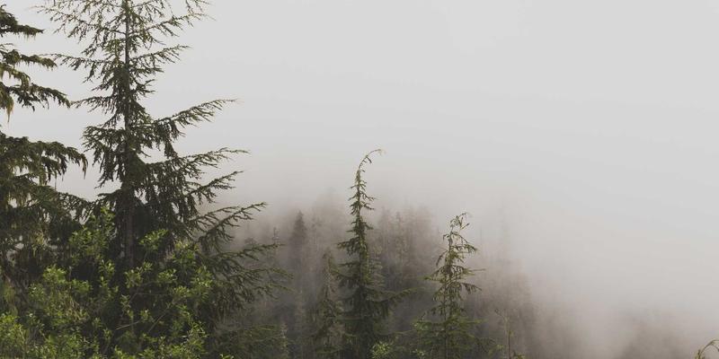 生活服务66：构建智慧社区，让便民信息触手可及