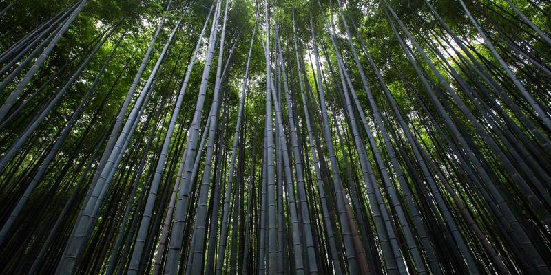 生活服务75:家政、维修与社区公告如何构建现代社区服务生态