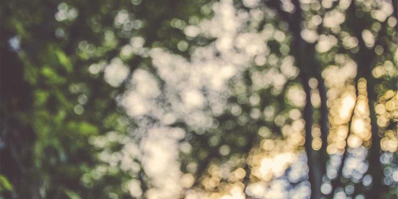 生活服务99：社区公告与便民信息如何重塑邻里生态