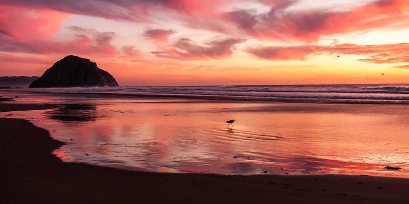 生活服务进阶指南：从出行、维修到家政，打造高效品质生活