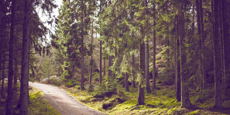 社区公告与专业维修：现代生活服务的双引擎