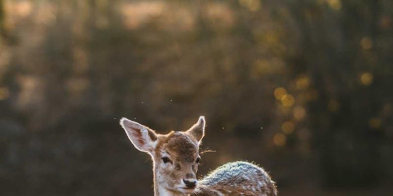 社区公告：城市家庭饮用水安全出行指南与全屋净水系统规划