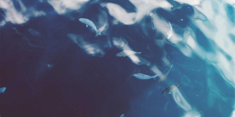 社区公告：如何选择专业的家庭收纳整理服务与规划方案，打造高效生活空间