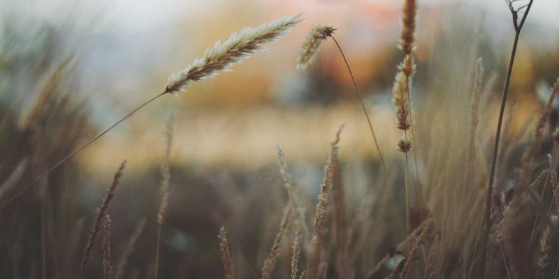 社区公告 | 家庭重要文档数字化归档与实体保管箱管理服务：现代家政服务的安心之选