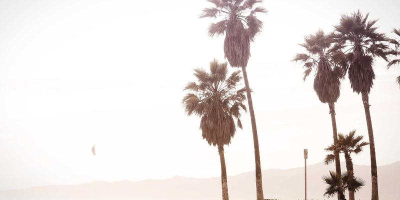 社区公告新用法：巧用社区团购优化家庭生鲜采购与邻里关系