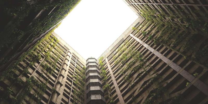 维修与社区公告如何重塑宠物生活服务新生态